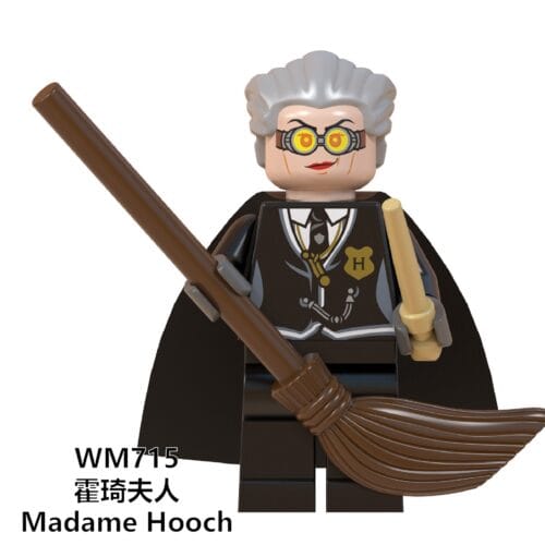 Harry Potter Madame Hooch Minifigures WM715